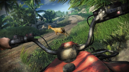 Far Cry 3 - Чем заняться, когда не убиваешь...